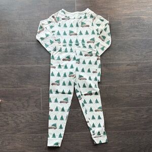 Pink Chicken Green and White Tree Kids Pajama Set. Great Holiday Pjs.